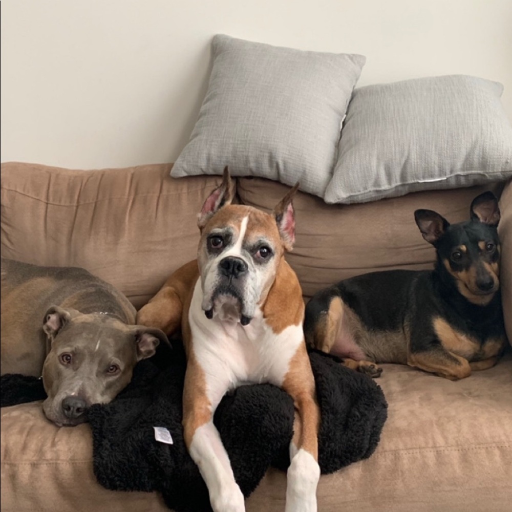 Meet your Posher, Nicole